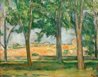 The Chestnut Trees of Jas de Bouffan