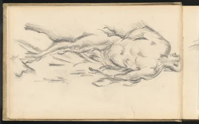 Study of Puget