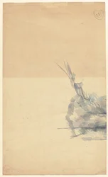 Study of a Rock