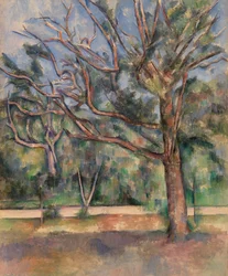 Trees and Road
