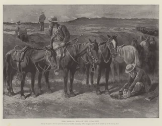 Boers