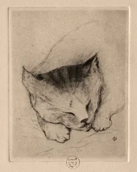 Six Etchings: Head of a Kitten
