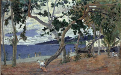 At the seashore, Martinique