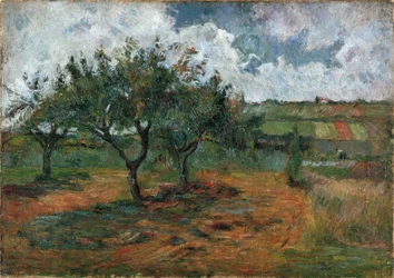 Blooming Apple Trees