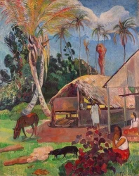The Black Pigs. 1891