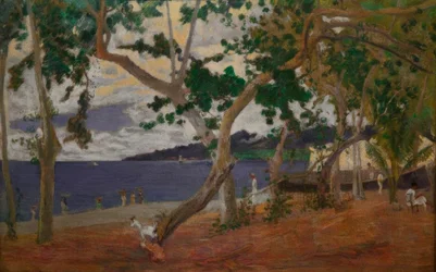 Coastal Landscape