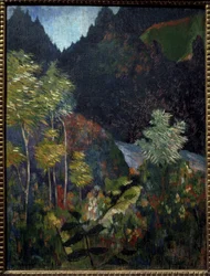 Landscape