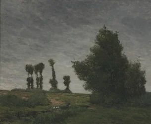 Landscape With Poplars