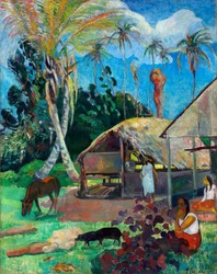 The Black Pigs