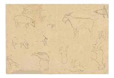 Sketches of Various Animals and Head (recto), Sketches of a Head, Figure in Profile, Anatomical Details, and Animals (verso)