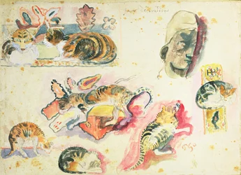Study of Cats and a Head