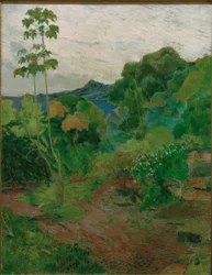 Tropical Landscape