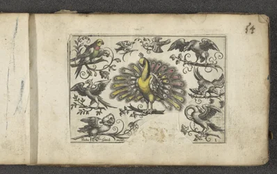 Peacock and Other Birds, Birds (series title)