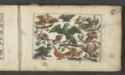 Bird of Prey, Eleven Other Birds, and a Bat (Birds)