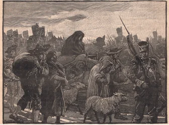 Wellington