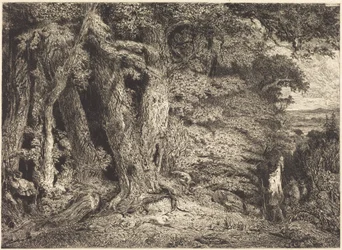 Entrance to the Forest