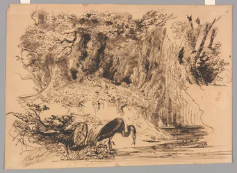 Forest Pool with Heron