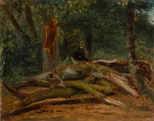 In the Forest