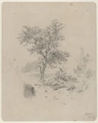 Landscape with Oak
