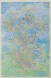 Olive Tree