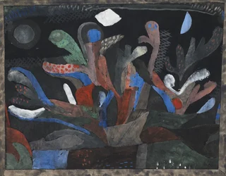 Picture of a Garden in Dark Colours