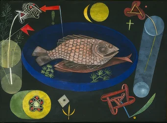 Around the Fish