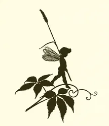 A Midsummer Night