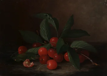 Still Life with Cherries