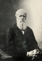 Portrait of Dom Pedro, Emperor of Brazil