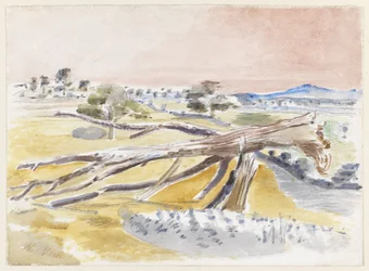 Monster Field, Study II