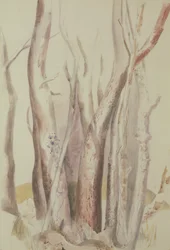 Study of a Wooded Landscape