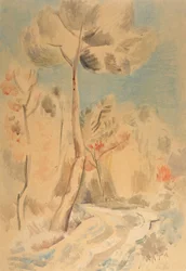 The Pine