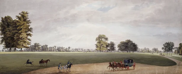 A Carriage in the Park at Luton Being Met by Riders and Frisking Foals