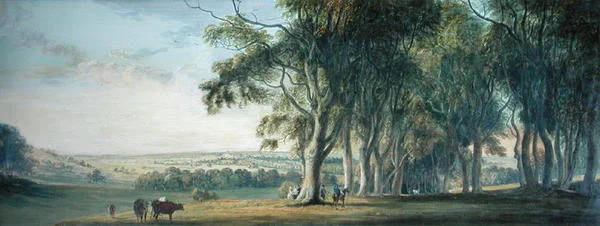 View of Windsor, from Snow Hill in the Great Park