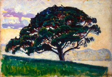 Large Pine, Saint-Tropez, 1892-1893