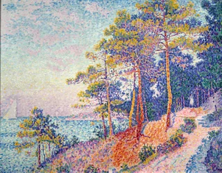 Saint Tropez: The Customs Trail