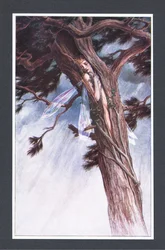 She did confine thee, by help of her most potent ministers and in her most unmitigable rage, into a cloven pine, illustration from The Tempest, 1908