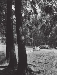 A Rest in a Forest, Bavaria