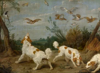 Partridge Hunt