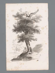 Landscape with Tree (series title: Principles of Landscapes, Principes de paysages)