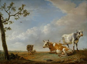 Animals Resting in the Pasture