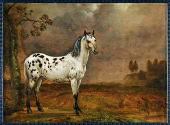 The Spotted Horse