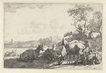 The Shepherd