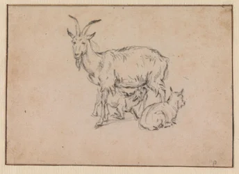 A Goat with Two Kids