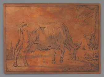 Grazing Cow