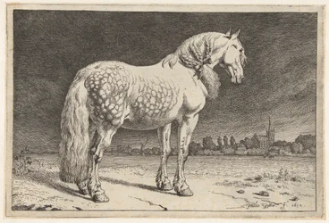 The Frisian Horse