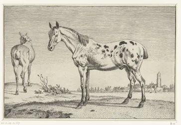 The Cropped Horse