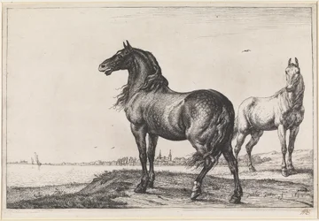 Neighing Horse
