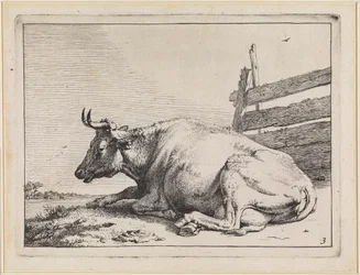 Lying Cow by a Fence