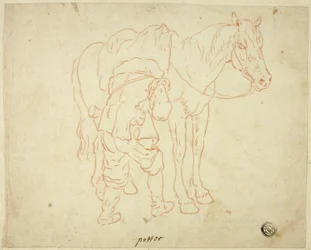Man Adjusting Saddle on Horse